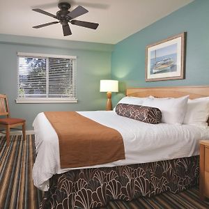 One-Bedroom Apartment King Bed Murphy Bed